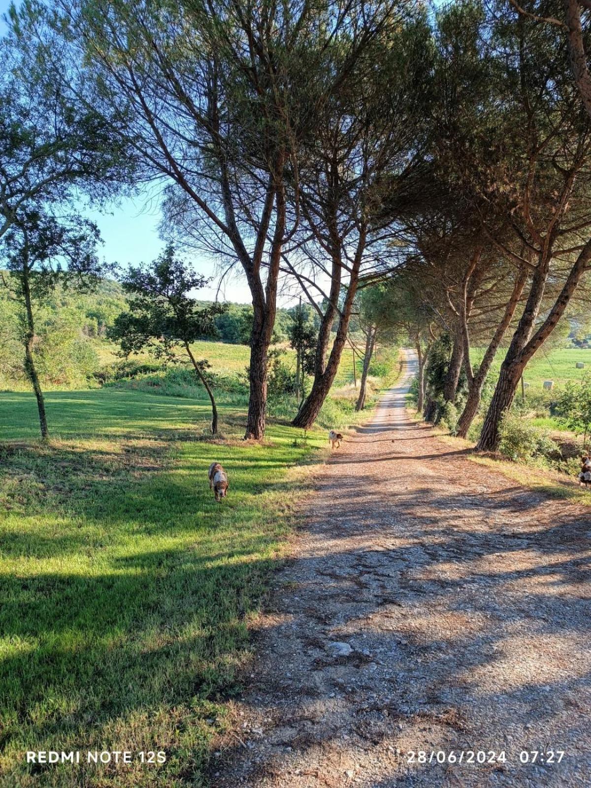 Appartamento La Casa Dei Breton Magione Esterno foto