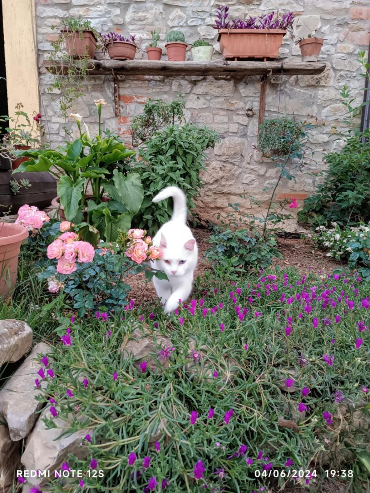 Appartamento La Casa Dei Breton Magione Esterno foto