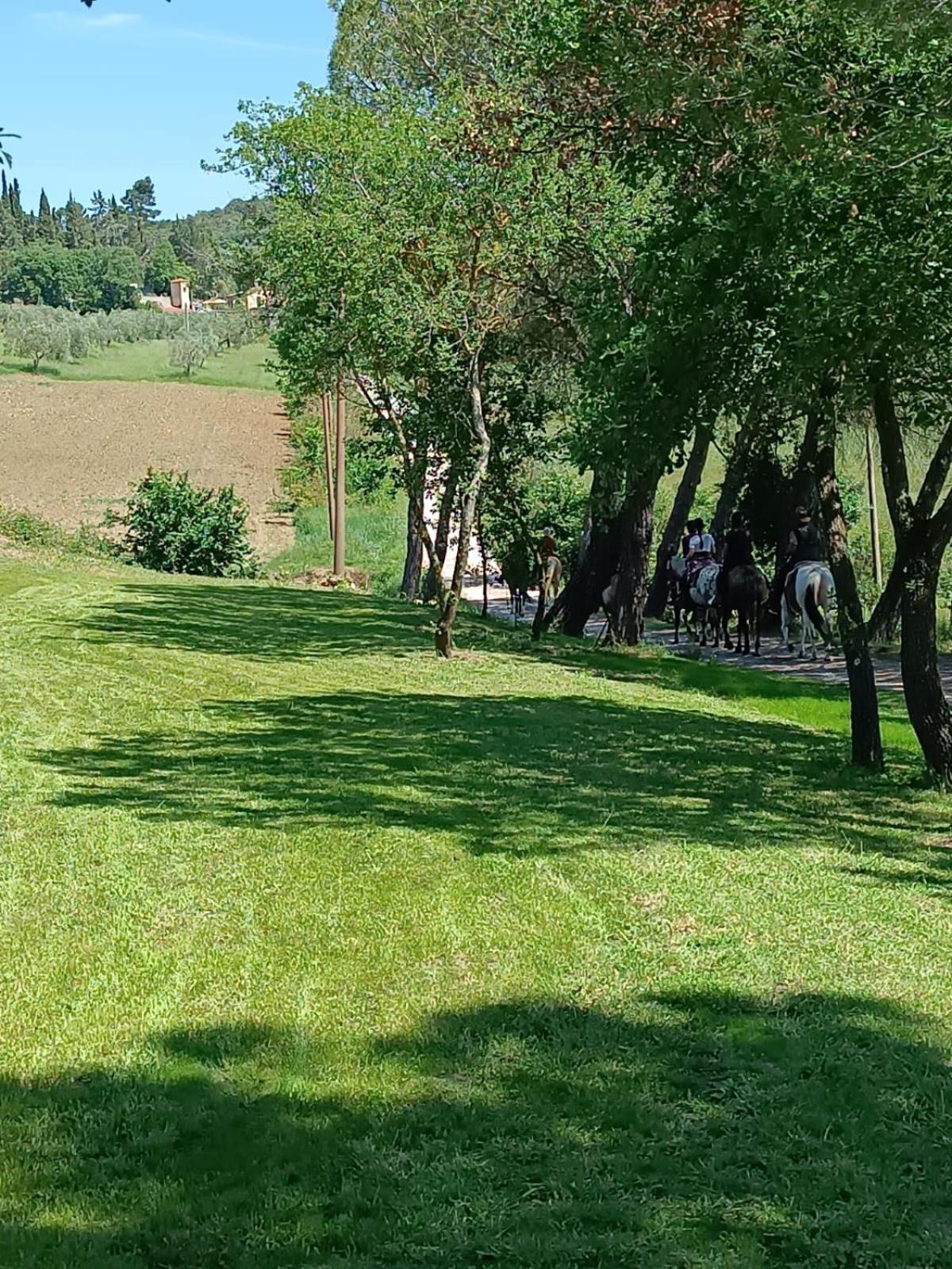Appartamento La Casa Dei Breton Magione Esterno foto