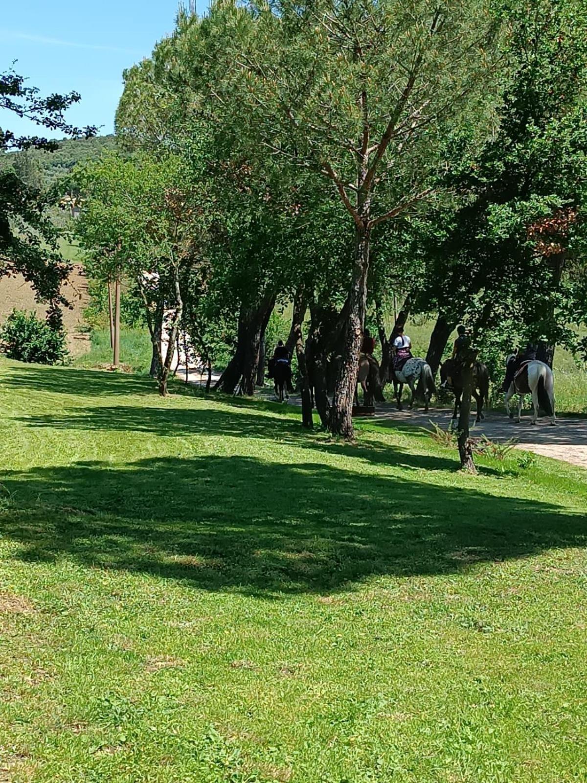 Appartamento La Casa Dei Breton Magione Esterno foto